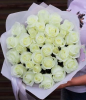 37 белых роз 37 белых роз