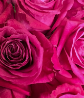 Букет_Малиновые розы в шляпной коробке Букет_Малиновые розы в шляпной коробке