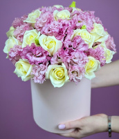 Пленительная мелодия Пленительная мелодия