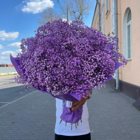 Букет_15 фиолетовых гипсофил Букет_15 фиолетовых гипсофил
