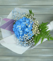 Рождественский краш Рождественский краш