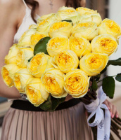 Солнечные лучики Солнечные лучики