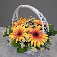 Корзина с яркими герберами Корзина с яркими герберами