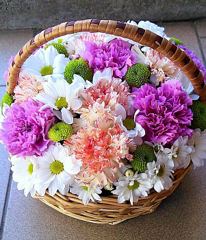 Летний сад Летний сад