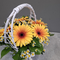 Букет_Корзина с яркими герберами Букет_Корзина с яркими герберами