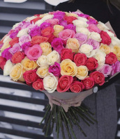 Маркиза Маркиза