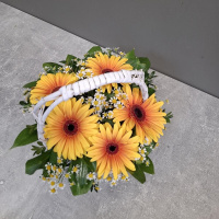 Букет_Корзина с яркими герберами Букет_Корзина с яркими герберами