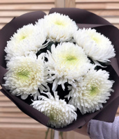 Белый шар Белый шар