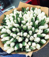 Нежный рассвет Нежный рассвет