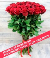51 розы 70 см 51 розы 70 см