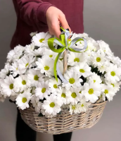 Скромность Скромность