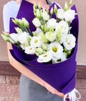 Свежесть Свежесть