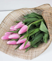 Нежное настроение Нежное настроение