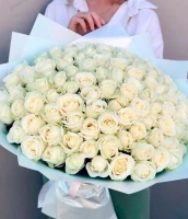 101 белых роз 101 белых роз