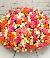 Моей родной Моей родной