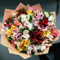 Букет_Яркая альстромерия Букет_Яркая альстромерия