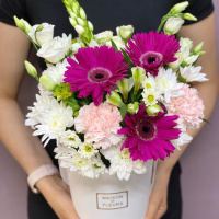 Яркая гербера в коробке Яркая гербера в коробке