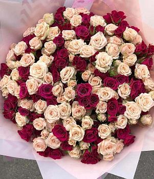 51 кустовой розы 51 кустовой розы