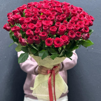 Букет_101 бордовая роза Премиум Букет_101 бордовая роза Премиум