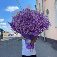 Букет_15 фиолетовых гипсофил Букет_15 фиолетовых гипсофил