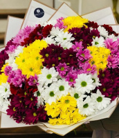 Вояж-вояж Вояж-вояж