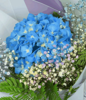 Рождественский краш Рождественский краш