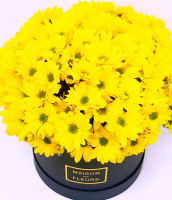 Летний вечер Летний вечер