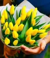 Симпатия Симпатия