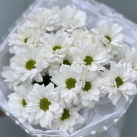 Букет_Радостное утро Букет_Радостное утро