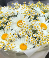 Деревенское утро Деревенское утро