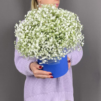 Композиция из белой гипсофилы в шляпной коробке Композиция из белой гипсофилы в шляпной коробке