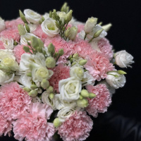 Букет_25 розовых гвоздик с эустомой Букет_25 розовых гвоздик с эустомой