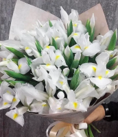 35 белых ирисов 35 белых ирисов