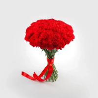 51 красной гвоздики 51 красной гвоздики