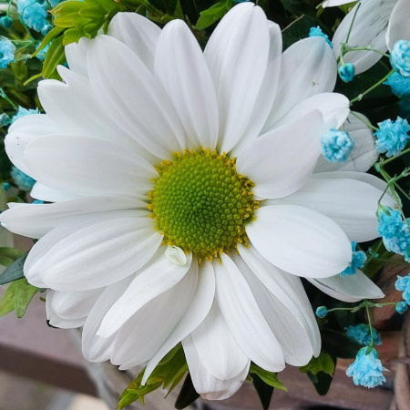 Букет_Аромат лета