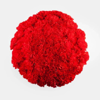 Букет_51 красной гвоздики Букет_51 красной гвоздики