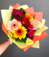 Бабочки Бабочки