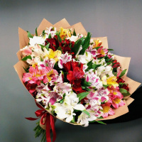 Яркая альстромерия Яркая альстромерия