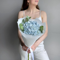 Букет_Нежный букет гортензия и эвкалипт Букет_Нежный букет гортензия и эвкалипт