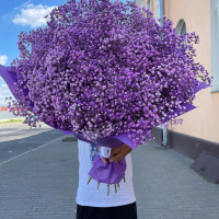 Букет_15 фиолетовых гипсофил Букет_15 фиолетовых гипсофил