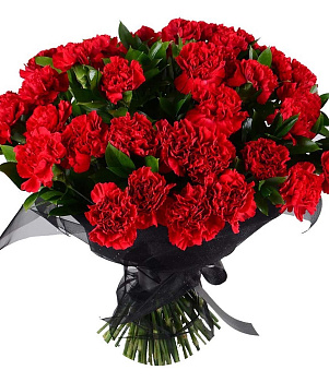 50 красных гвоздик 50 красных гвоздик