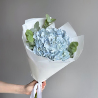 Букет_Нежный букет гортензия и эвкалипт Букет_Нежный букет гортензия и эвкалипт