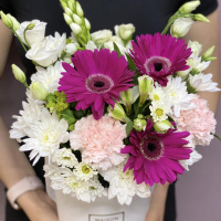 Букет_Яркая гербера в коробке Букет_Яркая гербера в коробке